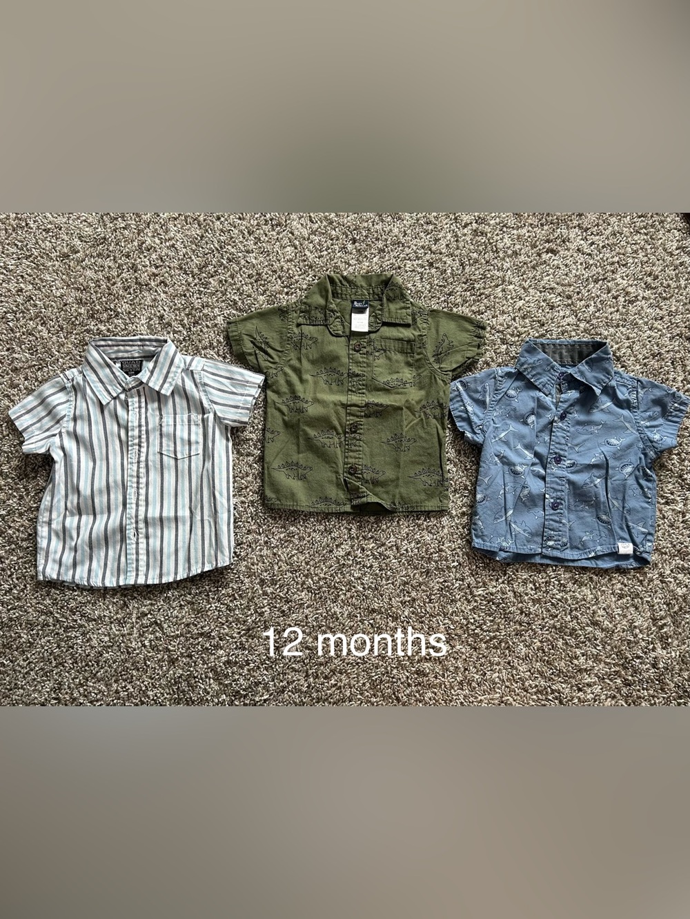 12 month bundle